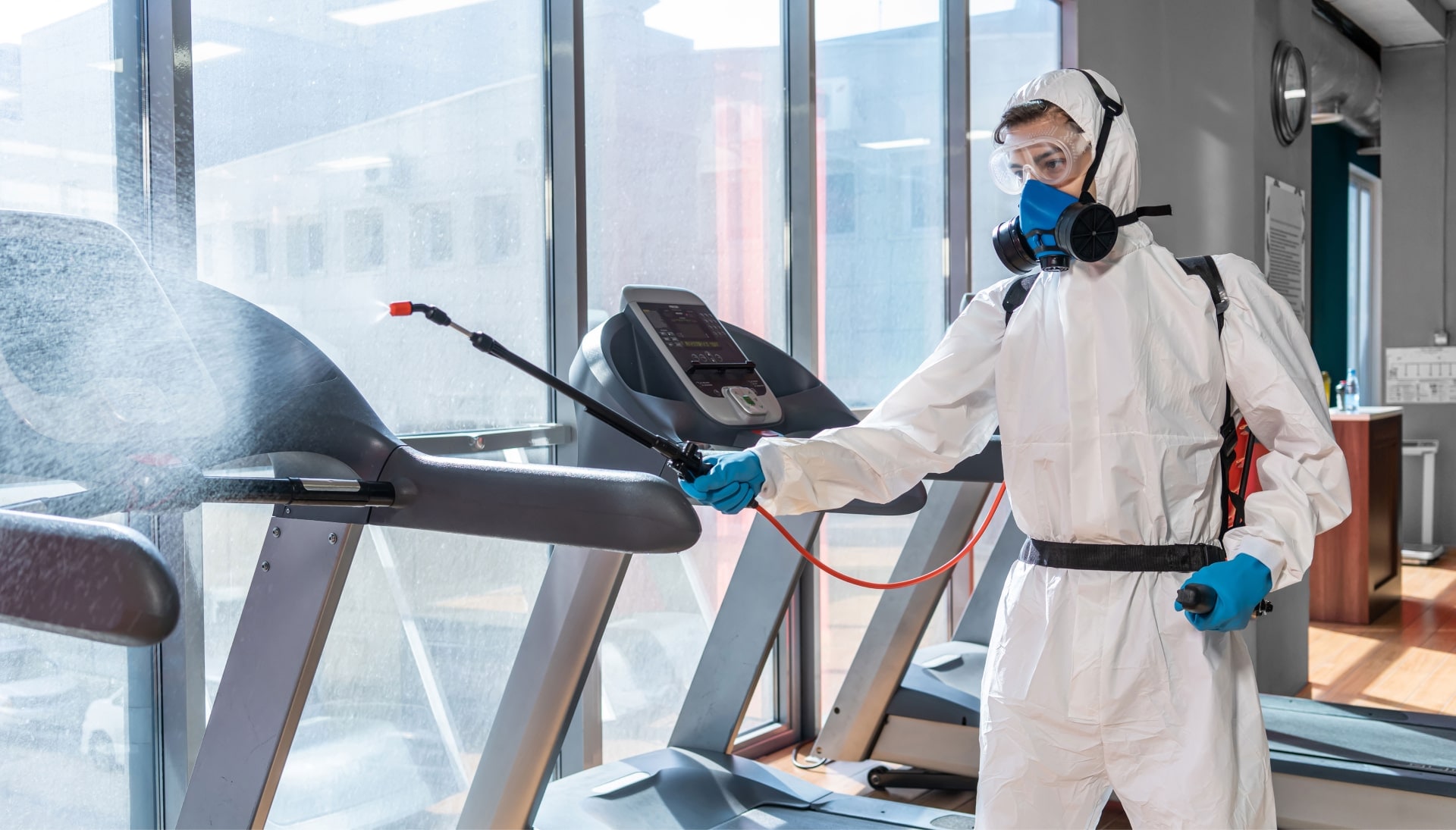Commercial Mold Removal Services in Tallahassee